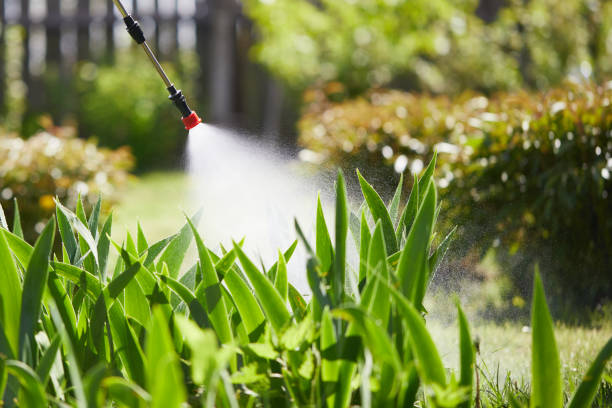 Void Injection for Cockroach Colonies in Philippi