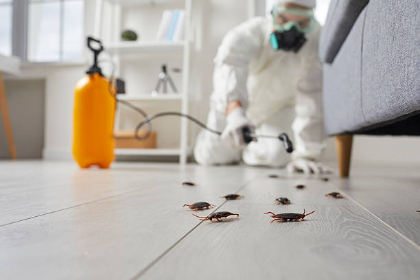 Commercial Kitchen Cockroach Control in Philippi